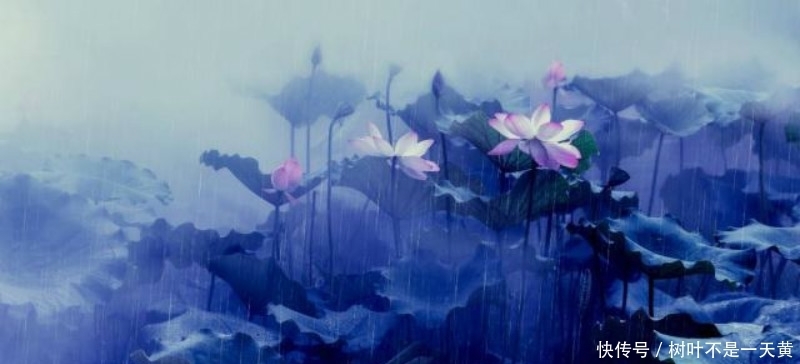 更是|欧阳修描写西湖最好的一首词,写得极为抒情,更是成全了一池荷花