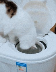 |搞笑GIF: 这样的新娘要不得 客人刚新娘就原形毕露了