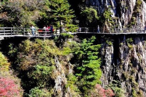 李世明|全国不走寻常路的景区，门票按姓氏售卖，看看有你吗