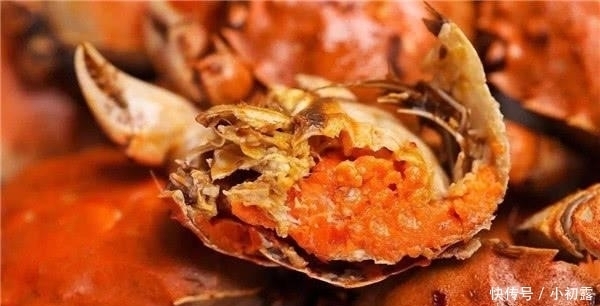 南方5大硬菜，别说我们没有硬菜，只是不想和北方的硬菜比