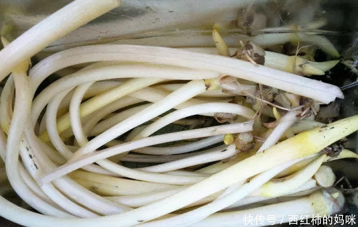 身体|女性到了中年,推荐3种食物,袪皱消斑,延缓衰老,滋补身体