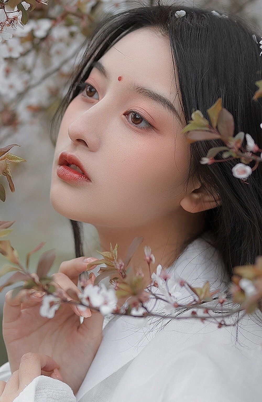 题都城南庄!五个著名成语,五首经典诗词,五个动人故事