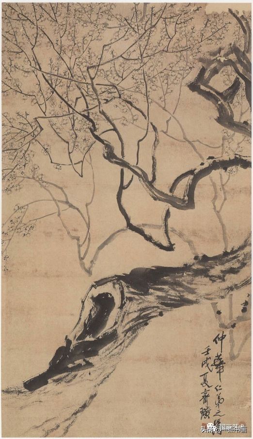 白石老人|赋梅兰竹菊松以新意——齐白石笔下的梅兰竹菊松