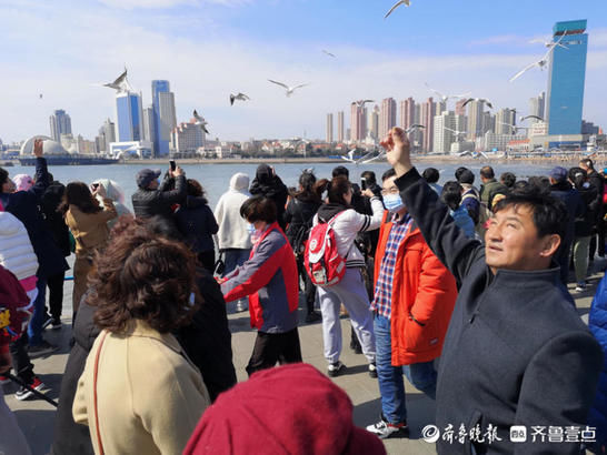 格陵兰岛|热闹！青岛栈桥海滨，游客人流如潮