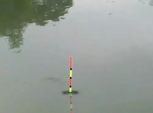 冬季巧用漂,鱼获不会少,冬季野钓最实用的调漂技巧