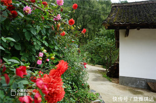 草甸|秦岭深山里的大户人家，有花有房还有冲水厕所，现如今已人去楼空