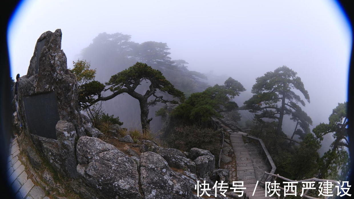 黄山|薄云浓雾游黄山宛若仙境【严建设】