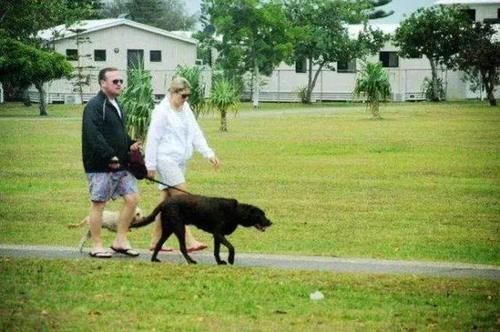 运动|老人多走路或有助于长寿?医生:60岁后,做好这3件事比运动重要