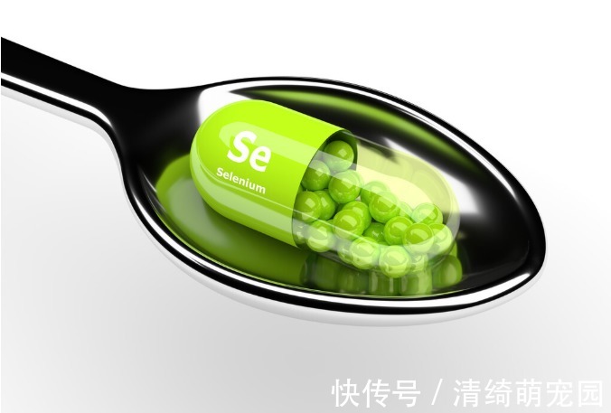 辅酶q10|心脏不好？或是缺乏这5种营养元素，建议要多吃粗粮多吃鱼等食物