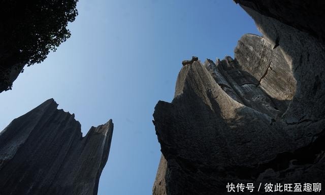 美图|古典园林中的石景造型竟然来自这里,“造园之源”果然鬼斧神工