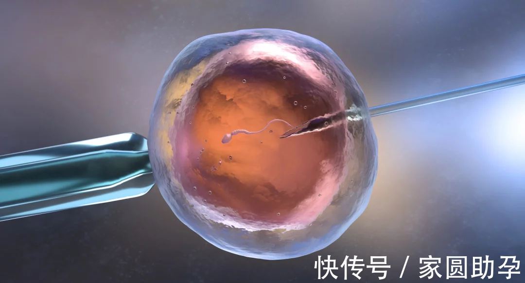 多省市规划新增辅助生殖机构：试管助孕或成主流生育方式！（第一试管网）
