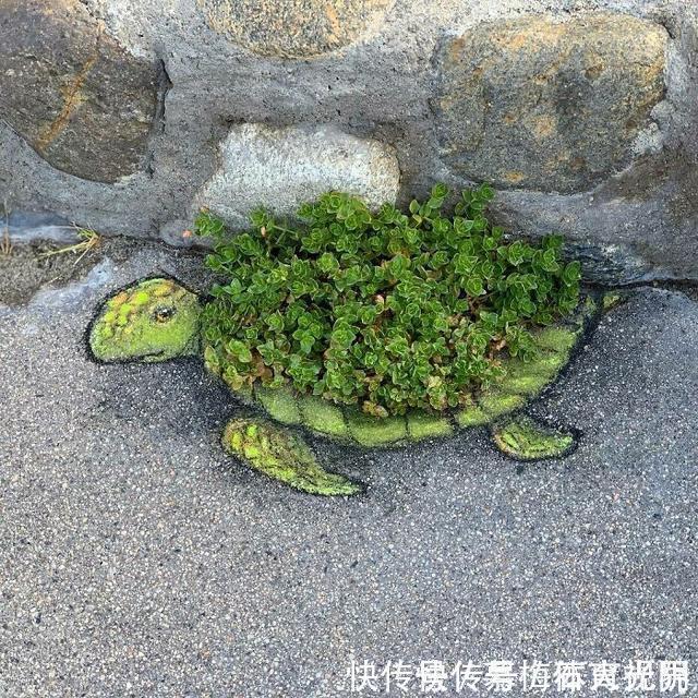 密歇根州!他用粉笔在街边“乱涂乱画”,吸引了百万粉丝,网友:能多来点吗