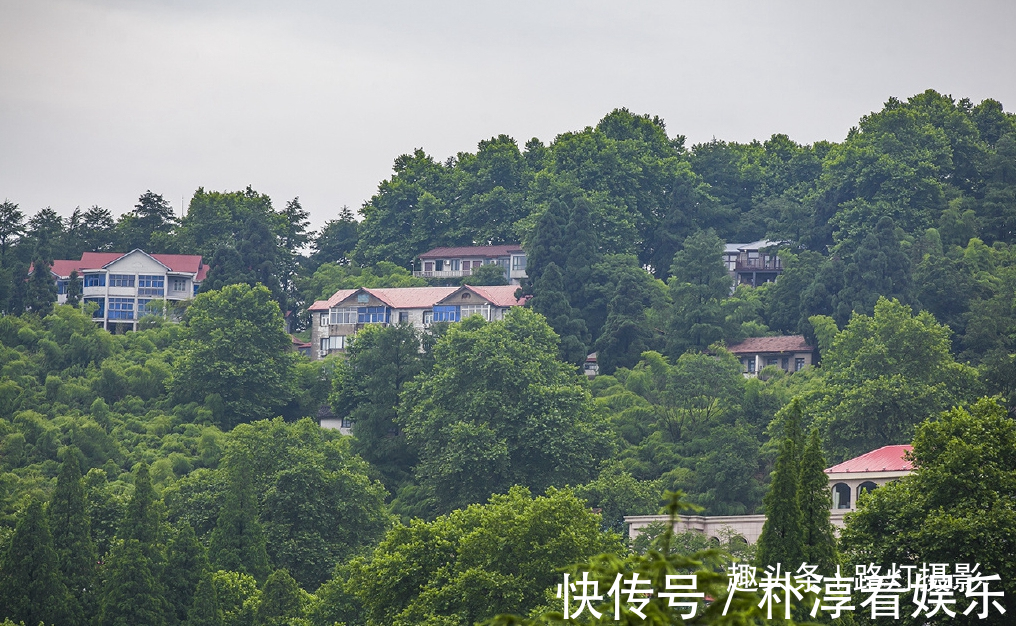 红嘴鸥|太浪漫了！冬天最适合中老年夫妻去的5个地方，和心爱的人一起走