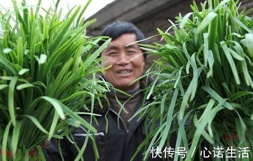 蔬菜|过年买年货,家里再穷,也要备齐这5种蔬菜,寓意来年财源滚滚
