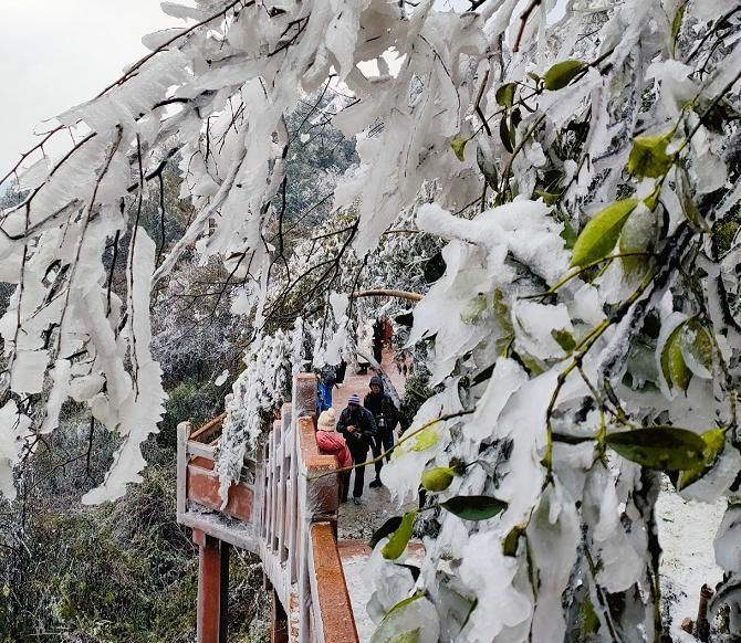 崀山八角寨景区：雾凇奇景游人赞美