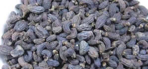 葛根|它被称为天然的“阿司匹林”,每天泡水喝,血管干净血栓悄悄走远