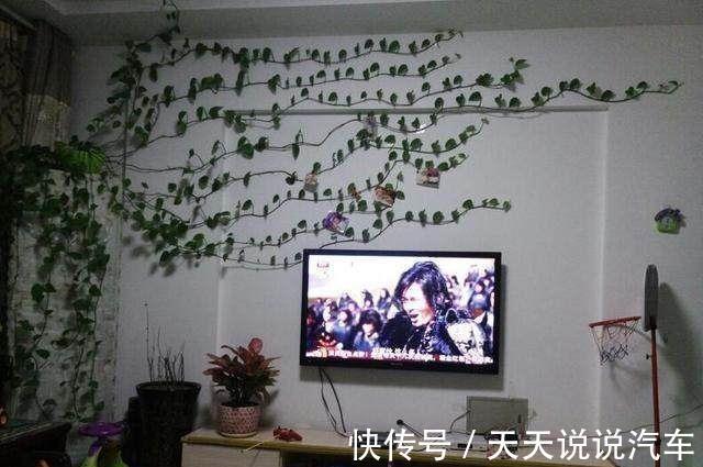 用此种水浇花，绿萝吊兰君子兰，20年都不黄叶烂根，比花肥还管用