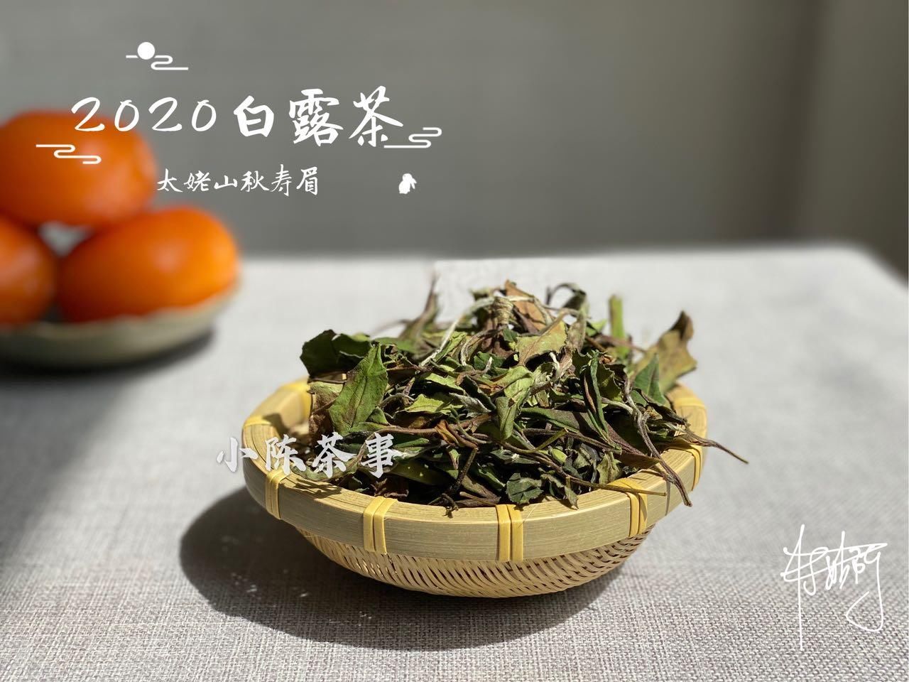 透露|今年的白露饼，压好了吗？老茶农透露：一年中这2个时间点才压饼