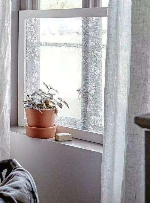 家里的窗户用它擦一擦，光亮如新，再也不沾灰！