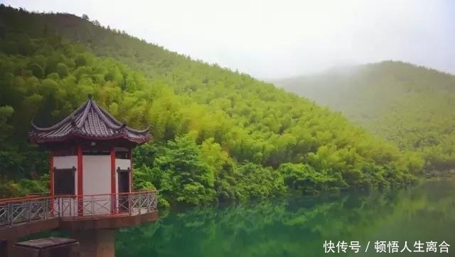 在江苏溧阳，有片竹海，叫南山竹海