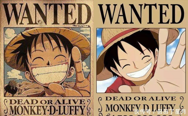 船员|海贼王草帽海贼团从出道到现在,赏金增长最快的6位船员