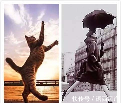 kitten|小白鞋、细高跟都out了？现在火的是这双！