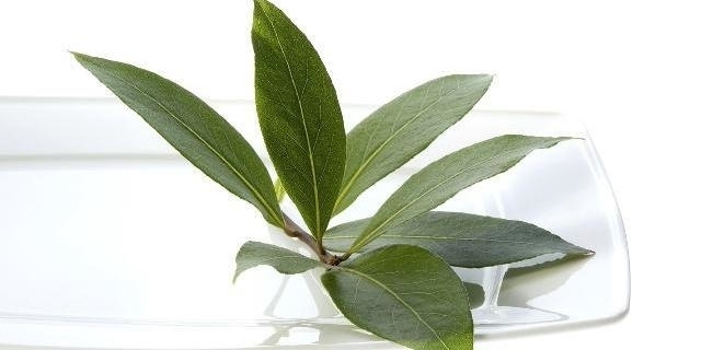 10个冷知识:爱说谎的孩子,都是坏孩子吗