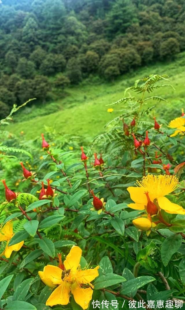 龙凤山|小众！徒步昆明寻甸龙凤山（图）