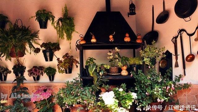 不一样的“庭院花园”，花草都上了墙
