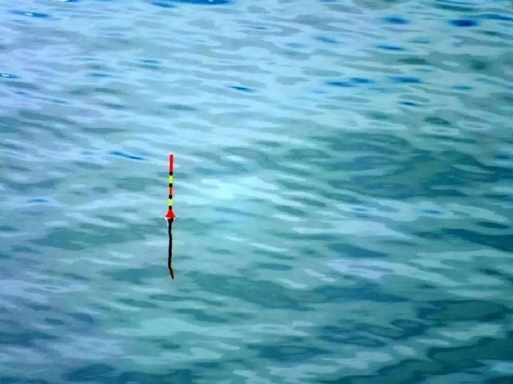 打窝不发窝,窝料不诱鱼,发窝不留鱼,其实你只是在喂鱼