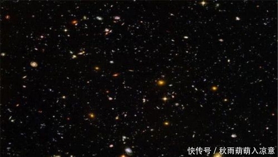 人类 将树叶放大一亿倍会看到什么?科学家:从未见过的“第二宇宙”