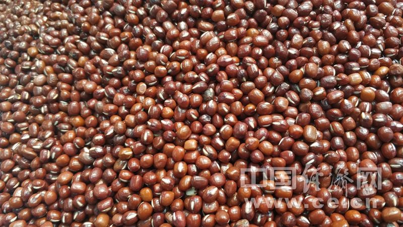 祛湿|秋季别忘祛湿 6种食物帮你“吃”掉湿气