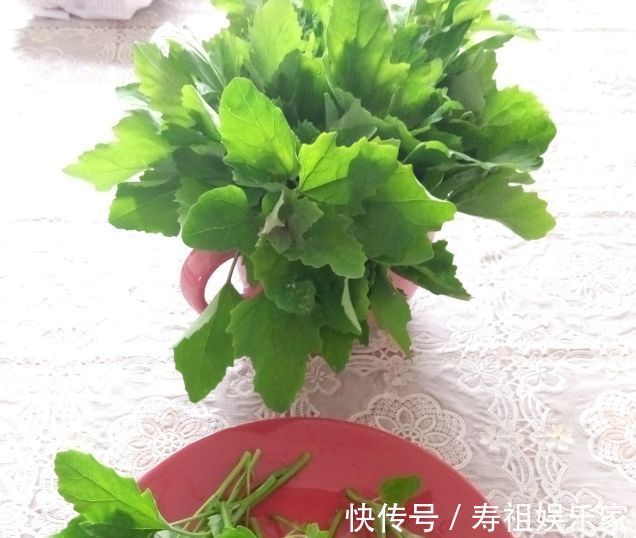 牛奶|一菜比牛奶强，不花一分钱，补钙质，个头长得快，肠道越来越干净