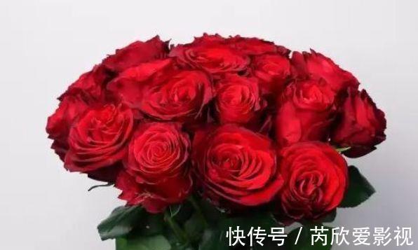 喜欢玫瑰，就养“高档玫瑰”探索者，花开层层浪漫，梦幻惹人爱