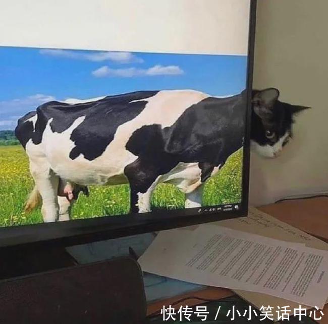 |【被窝段子20211223】现实点,你根本没有努力,你在抱怨