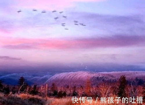 野渡征联|野渡征联第三期:晴窗徊雁影,诚征下联