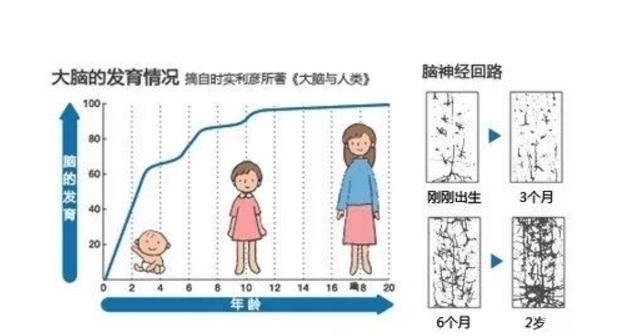 家长|6岁前孩子有这4表现,说明智商高,家长要好好培养