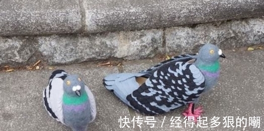 鸽子|日本牛人手工制作鸽子造型高跟鞋，穿到街上亮瞎路人！