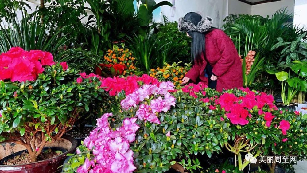 老城|周至县城有条街，叫面粉厂巷子...