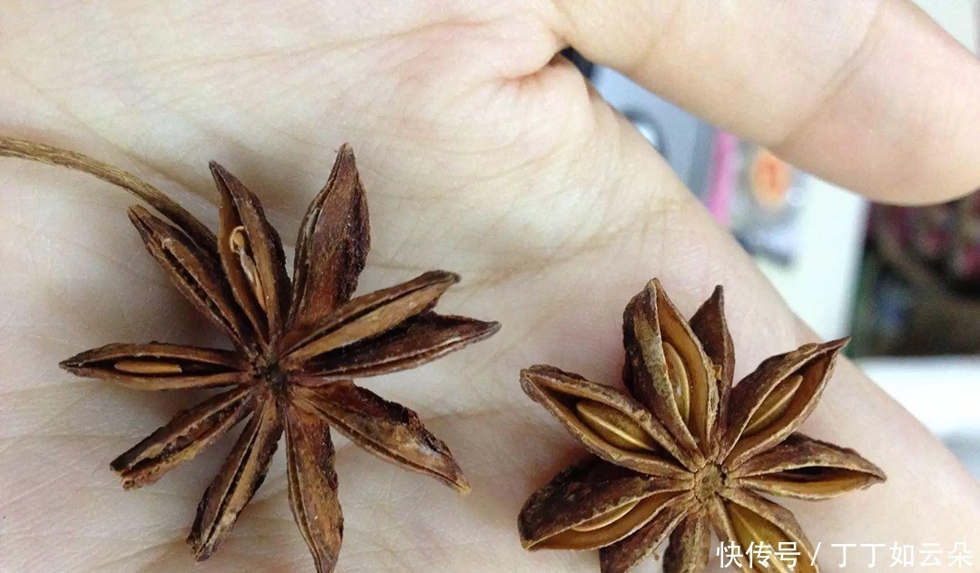 鲜美|炖鸡最忌直接下锅，教你正确“3不放”窍门，汤汁鲜美无腥味！