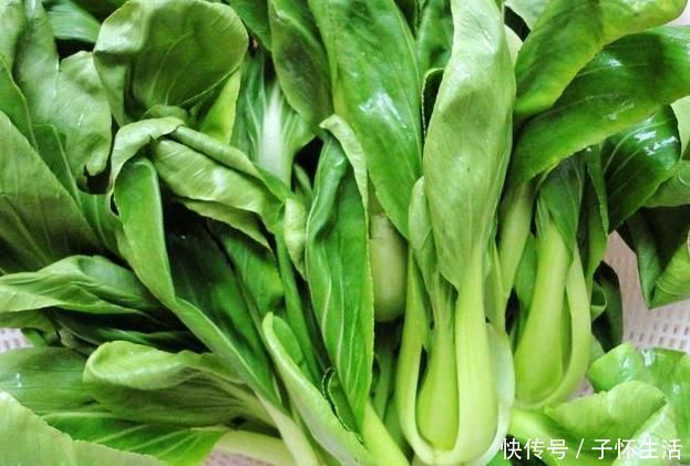 青菜|此青菜要少吃,没营养还伤身,却有很多人不清楚,为健康早了解