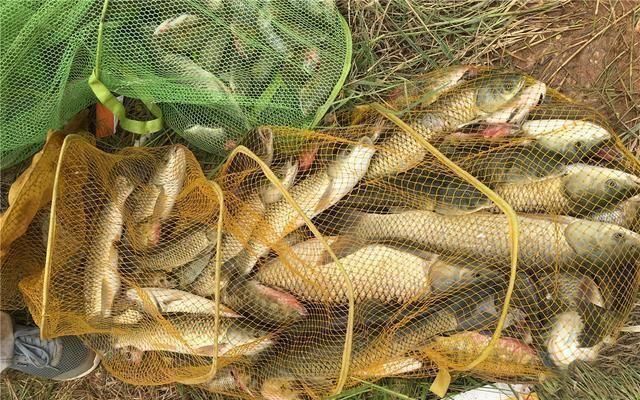 钓鱼|夏天下风口真的好钓鱼,只是要找对位置,还要用对方法