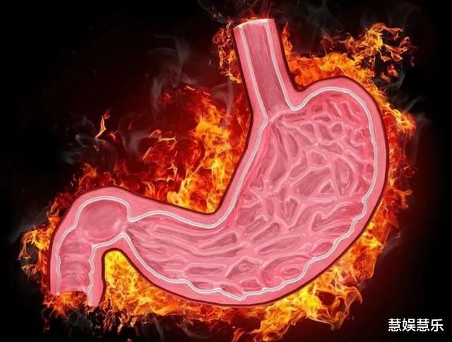 消化科醫(yī)生：胃不好，盡量少吃這3種食物，想養(yǎng)胃，嘗試這2種東西