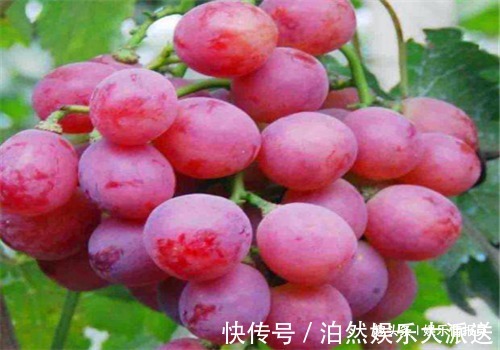 滋阴|女性不要太节俭,多吃4种食物,排出毒素,养护血管,滋阴降火