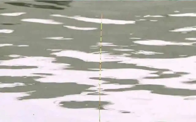 冬天鱼口弱真的不好抓，你可以试试这几招，能有效放大漂讯，提高抓口成功率