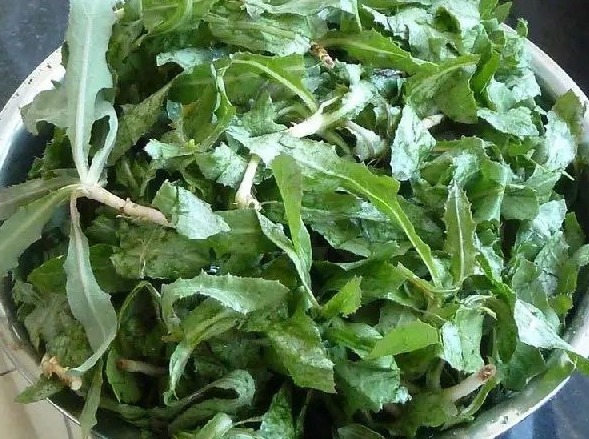 采摘|农村常见的3种抗癌野菜，很多人嫌脏不愿吃，却对身体健康有好处
