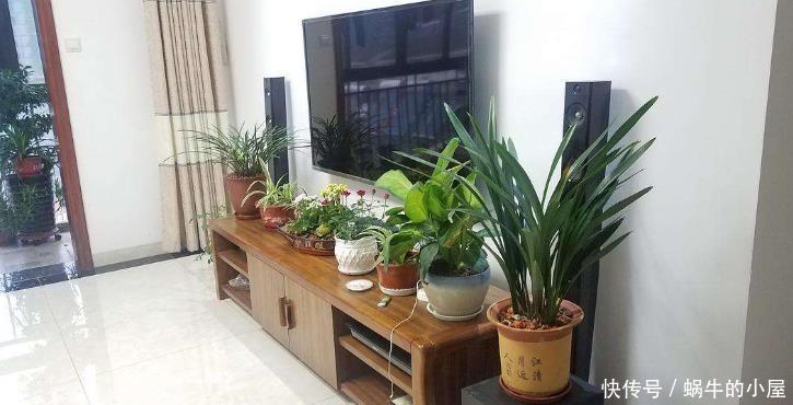 养殖|夏天,这4个地方不合适养花,该早点转移!