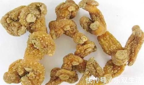 黄精|走近中药:古人为何推崇黄精,它有哪些特点?可分为4种