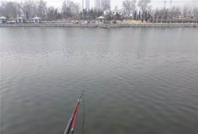 冬季钓鱼误区:“冬钓深水”,老钓手告诉你,这几个位置鲫鱼最多