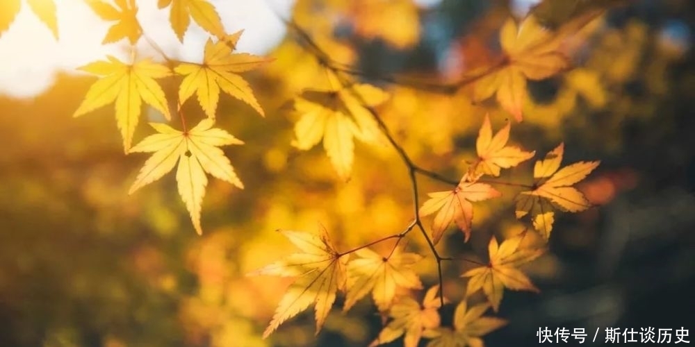 亲密关系|少有人知道的亲密关系的真相